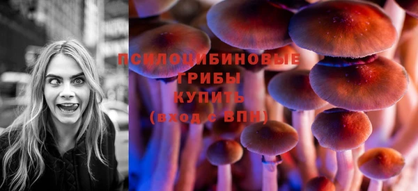 меф Ельня