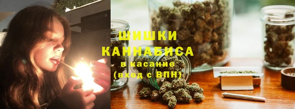 меф Ельня