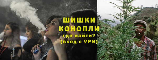 трава Елабуга