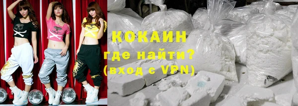 меф Ельня