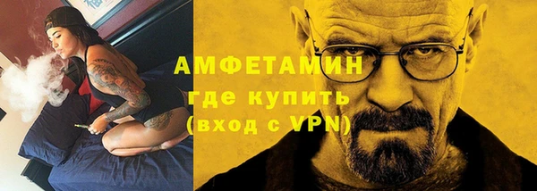 меф Ельня