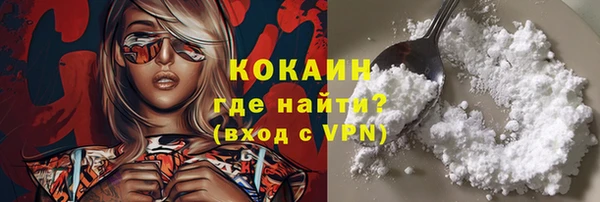 меф Ельня