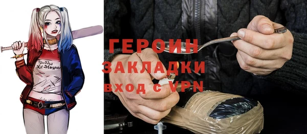 меф Ельня