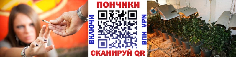 где купить наркоту  Усолье  Бошки Шишки сатива 